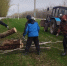 В Воробьёвском районе продолжается месячник по благоустройству. - Воробьёвский район